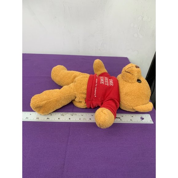 Habitat for Humanity Home Sweet Home 10 Inch Brown Bear Brown Eyes Plastic Beanb - Picture 2 of 9